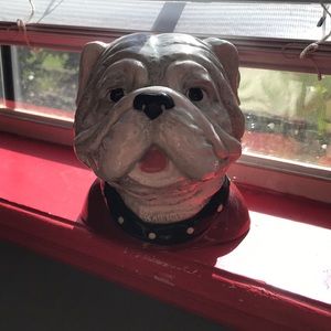 Georgia Bulldog (Uga) piggy bank for kids